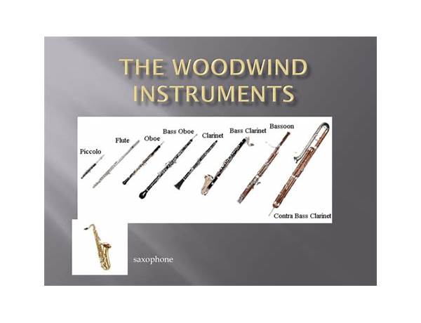 Woodwinds: Jay Migliori, musical term