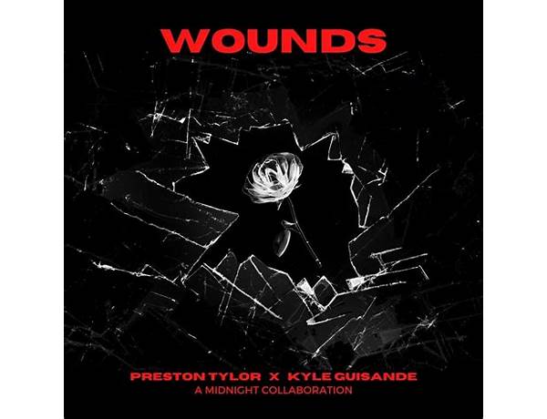 Wounds en Lyrics [Preston Tylor & Kyle Guisande]