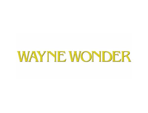 Written: Wayne Wonder, musical term