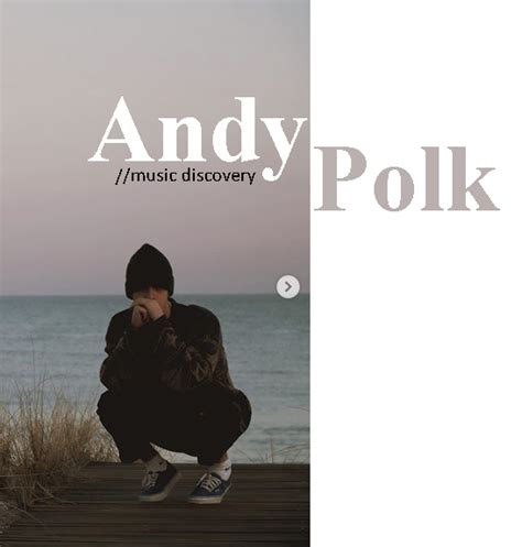 ​andy polk​