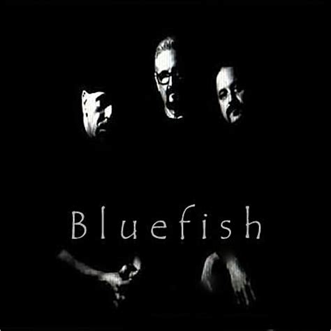 Bluefish