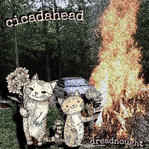 Cicadahead