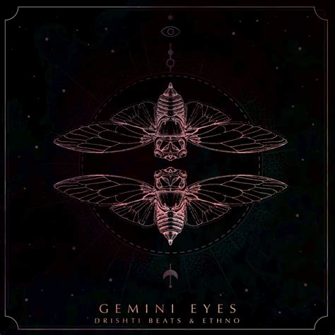 Gemini Eye