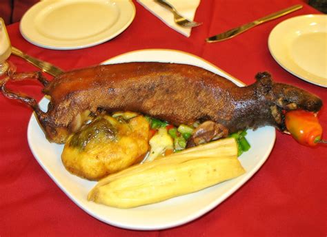 Guinea Pigs of Peru