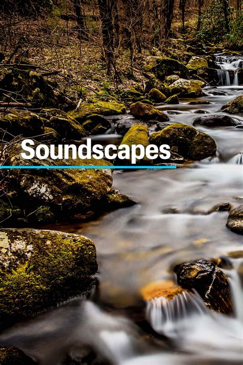 Soundscape