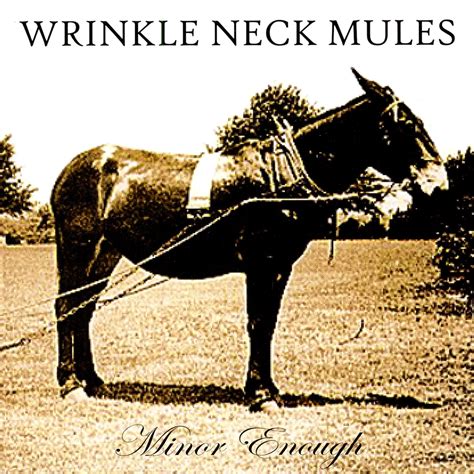 Wrinkle Neck Mules