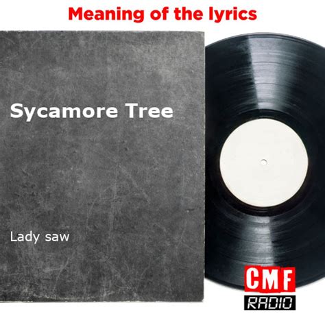 Sycamore Trees lyrics credits, cast, crew of song