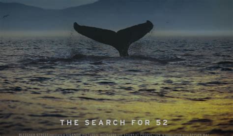 The Loneliest Whale on Earth lyrics credits, cast, crew of song