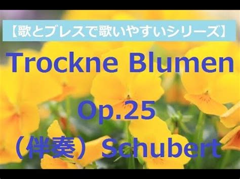 Trockne Blumen lyrics credits, cast, crew of song