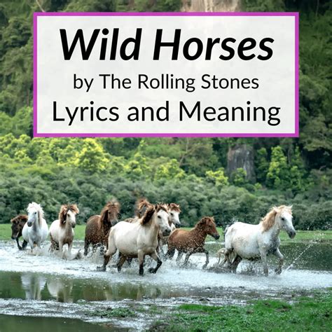 Wild Horses lyrics credits, cast, crew of song