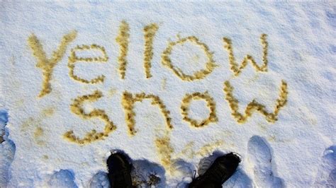 Yellow Snow! Yellow Snow! Yellow Snow! lyrics credits, cast, crew of song