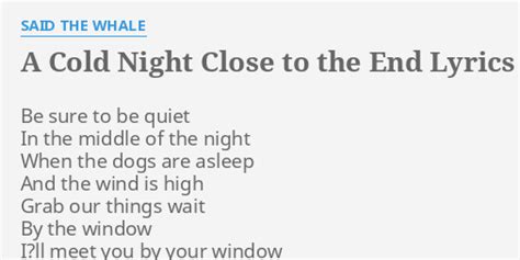 A Cold Night Close To The End lyrics [Said The Whale]