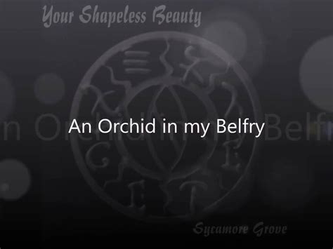 An Orchid In My Belfry lyrics [Your Shapeless Beauty]