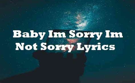 Baby, I'm Sorry lyrics [Pedrols]