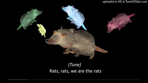 Bash the Rat lyrics [Embrace]