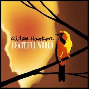 Beautiful World lyrics [Aidan Hawken]