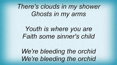 Bleeding the Orchid lyrics [The Smashing Pumpkins]