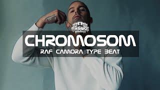 Chromosom lyrics [RAF Camora]