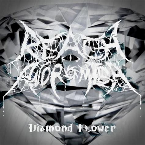 Diamond Flower lyrics [Reach For Andromeda]