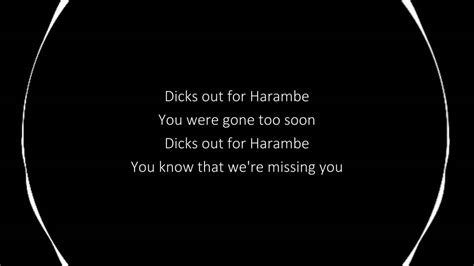 Dicks Out For Harambe lyrics [Marcos Picazo]