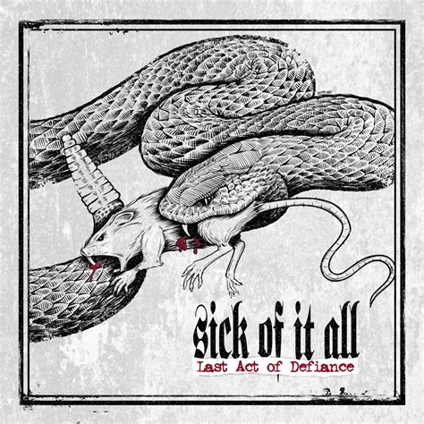 Dnc lyrics [Sick of It All]