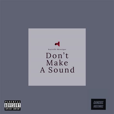Don't Make A Sound lyrics [Kaytrills Mewsique]