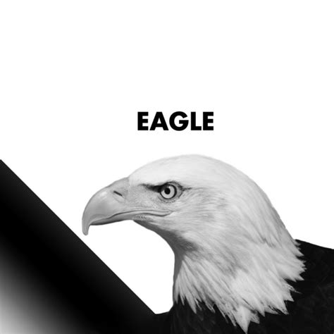 Eagle lyrics [VHS]