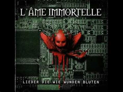 Figure in the Mirror lyrics [L'Âme Immortelle]