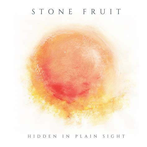 Hidden in Plain Sight lyrics [City Light Mosaic]