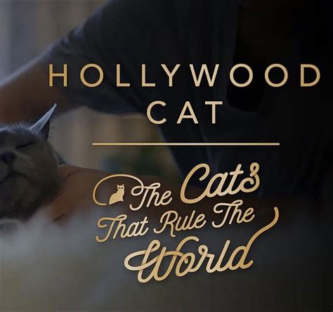 Hollywood lyrics [Kitty]