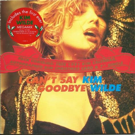 I Can't Say Goodbye lyrics [Kim Wilde]