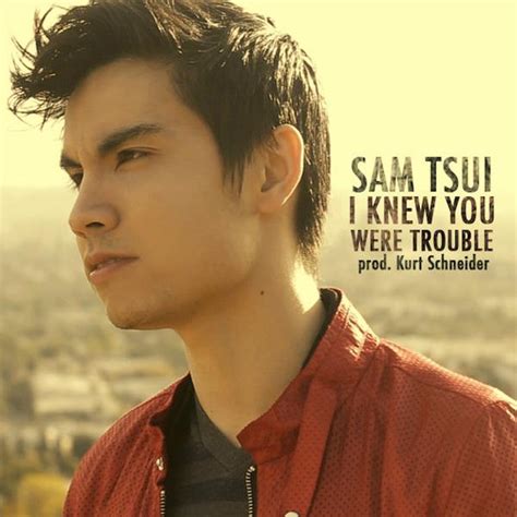 I knew you were trouble lyrics [Sam Tsui]