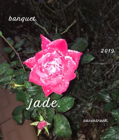 Jade. lyrics [Zacontrack]