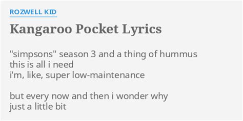 Kangaroo Pocket lyrics [Rozwell Kid]