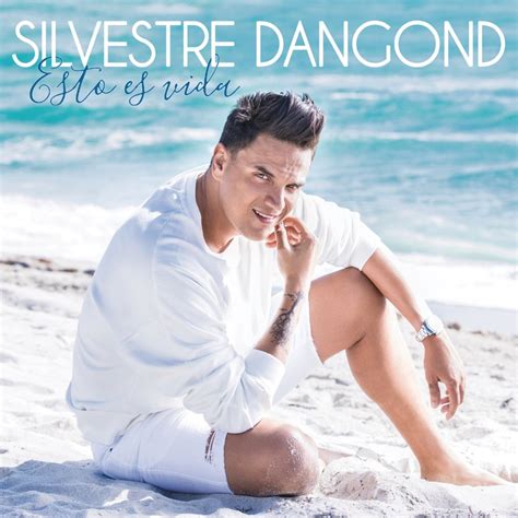 La Embarraste lyrics [Silvestre Dangond]