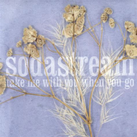 Looking Back lyrics [Sodastream]