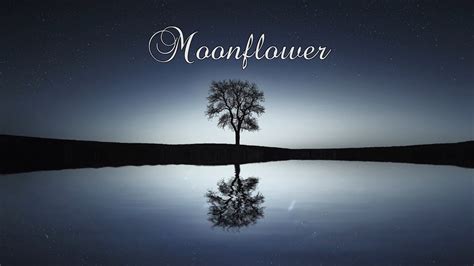 Moon Flower lyrics [Aestrea]