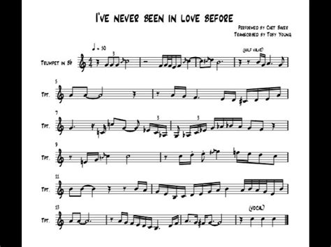 Never Been In Love Before lyrics [George Monastiriakos]