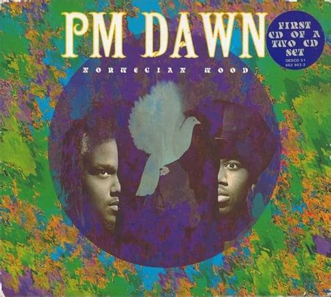 Norwegian Wood lyrics [P.M. Dawn]