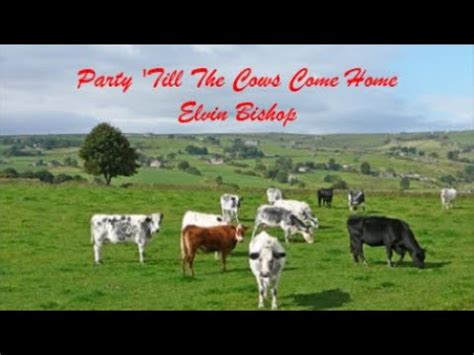 Party Till The Cows Come Home lyrics [Elvin Bishop]