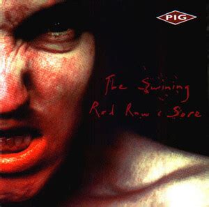 Red Raw & Sore lyrics [Pig]