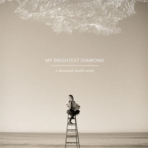 Rising Star lyrics [My Brightest Diamond]