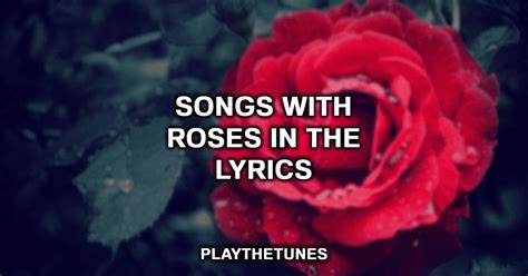 Roses lyrics [Lylbooo]