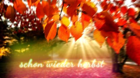 Schon wieder Herbst lyrics [Saltatio Mortis]