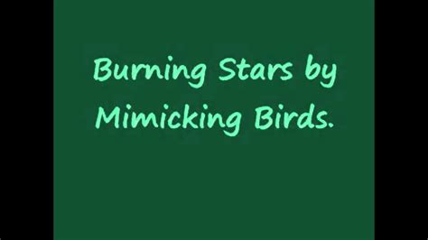 Seeing Eye Dog lyrics [Mimicking Birds]