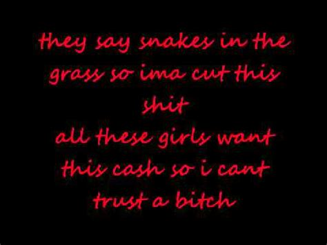 Snakes In The Grass lyrics [Justin Time The Rookie]