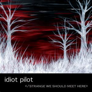 Strange We Should Meet Here lyrics [Idiot Pilot]