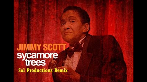 Sycamore Trees lyrics [Jimmy Scott]