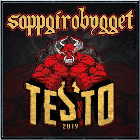 Testo 2019 lyrics [Soppgirobygget]