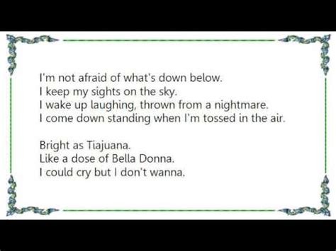 The Dream’s Lost on Me lyrics [Blondie]